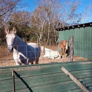 Meet your Posher, Lynn